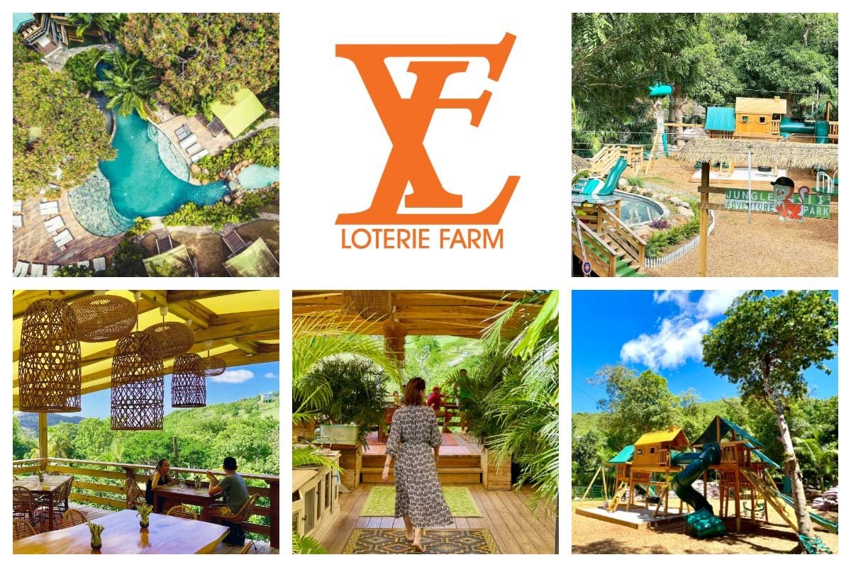 Loterie Farm Hidden Forest: Treetop Adventure & Jungle Pool