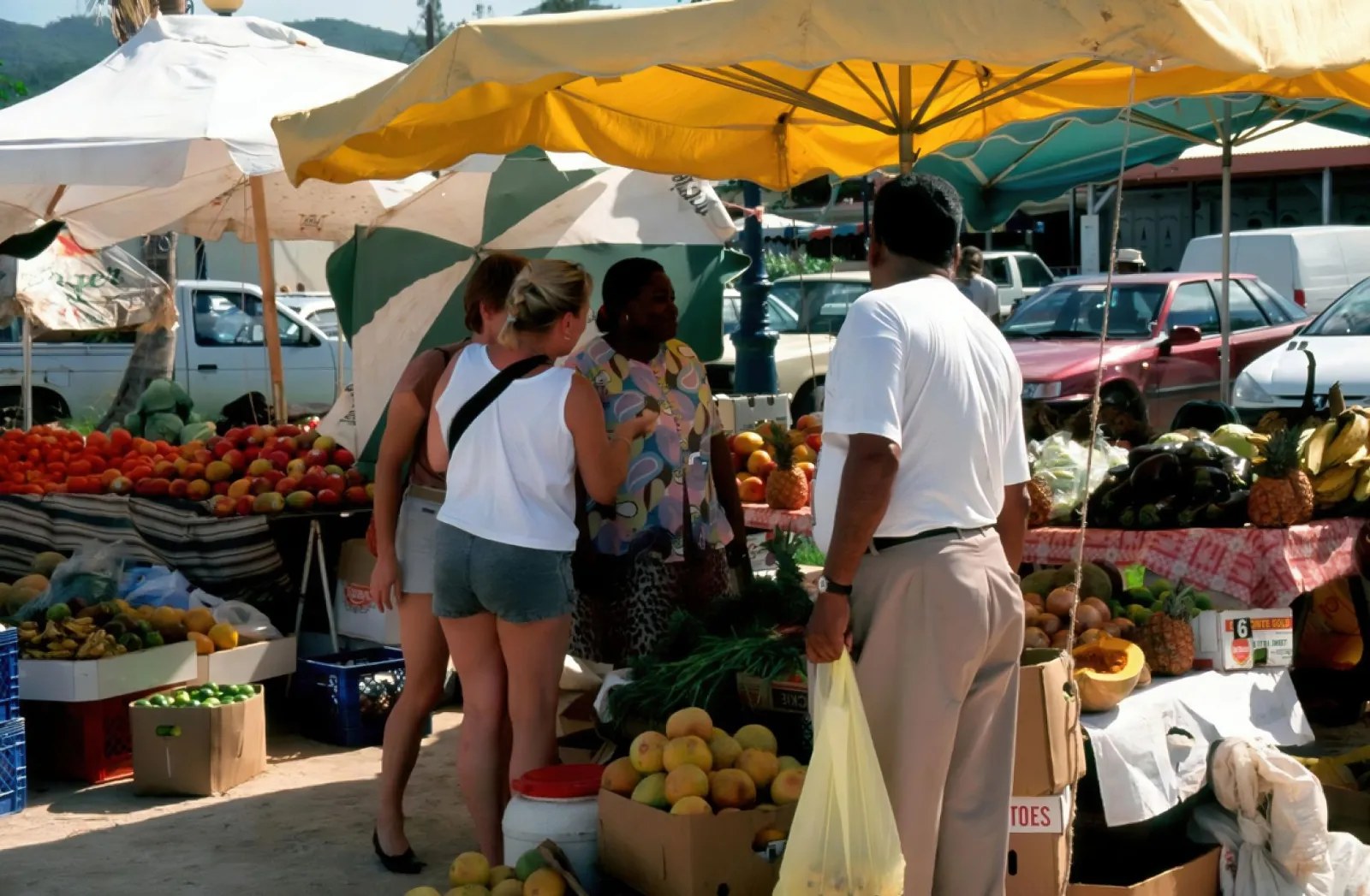 Gourmet Creole Food Tour of Marigot Market & French Quarter