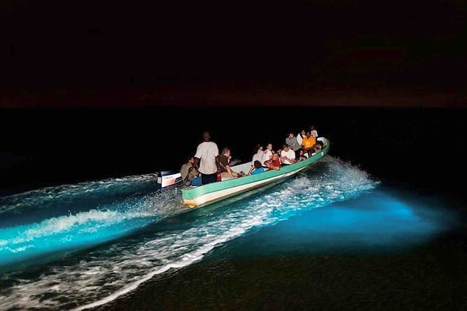 Bastimentos Marine Park: Expert-Led Snorkel Safari