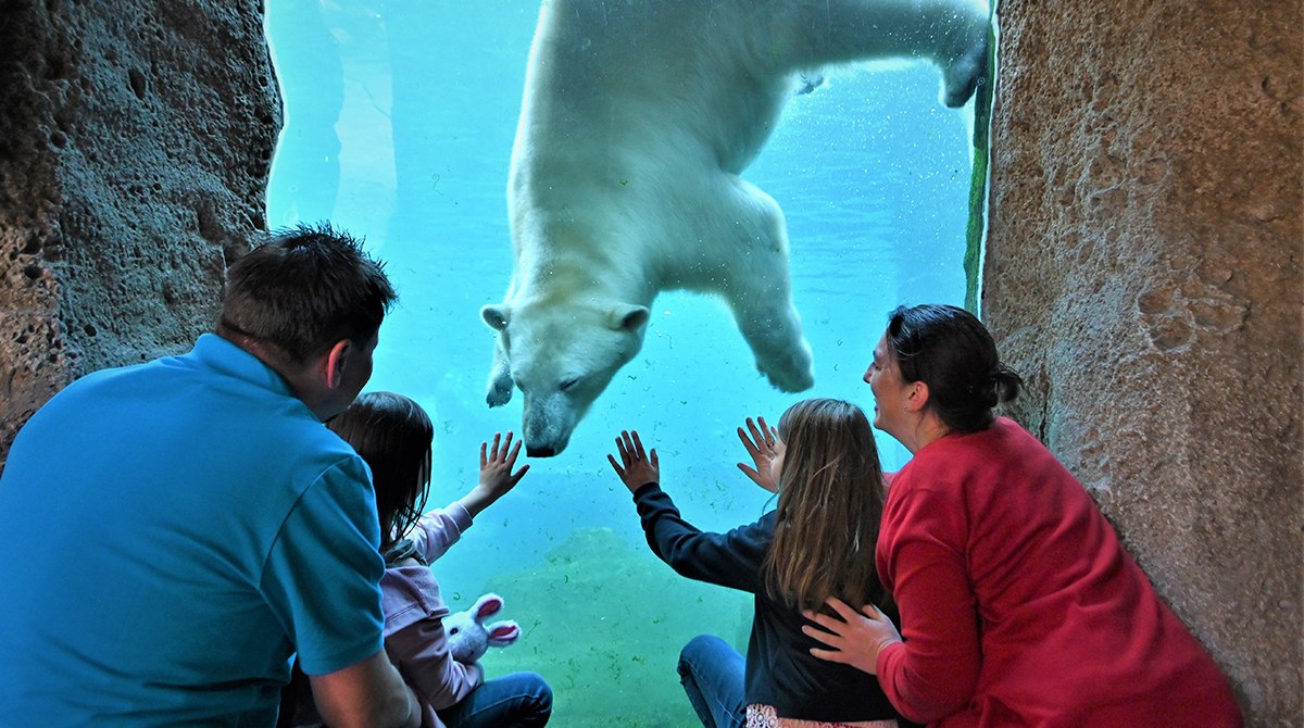 Zoo am Meer: Arctic Wildlife on the North Sea Shore