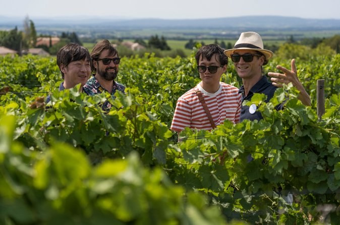 Châteauneuf-du-Pape: Private Small-Group Wine Estate Tasting Tour