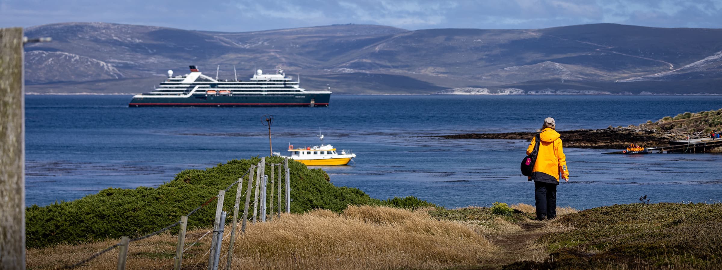 Falklands Sea Kayak Expedition: Harbours & Wildlife