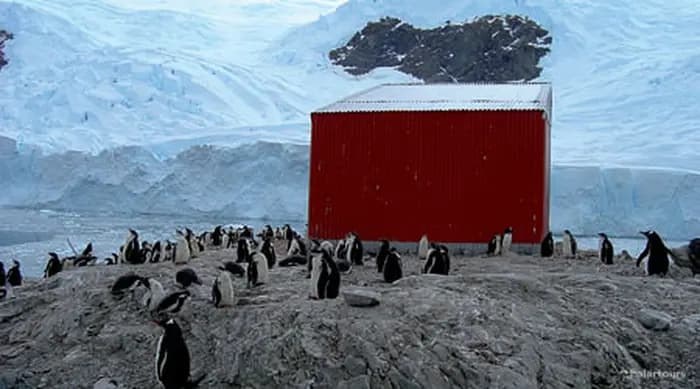 Neko Harbour Glacier Walk & Penguin Colony Ashore