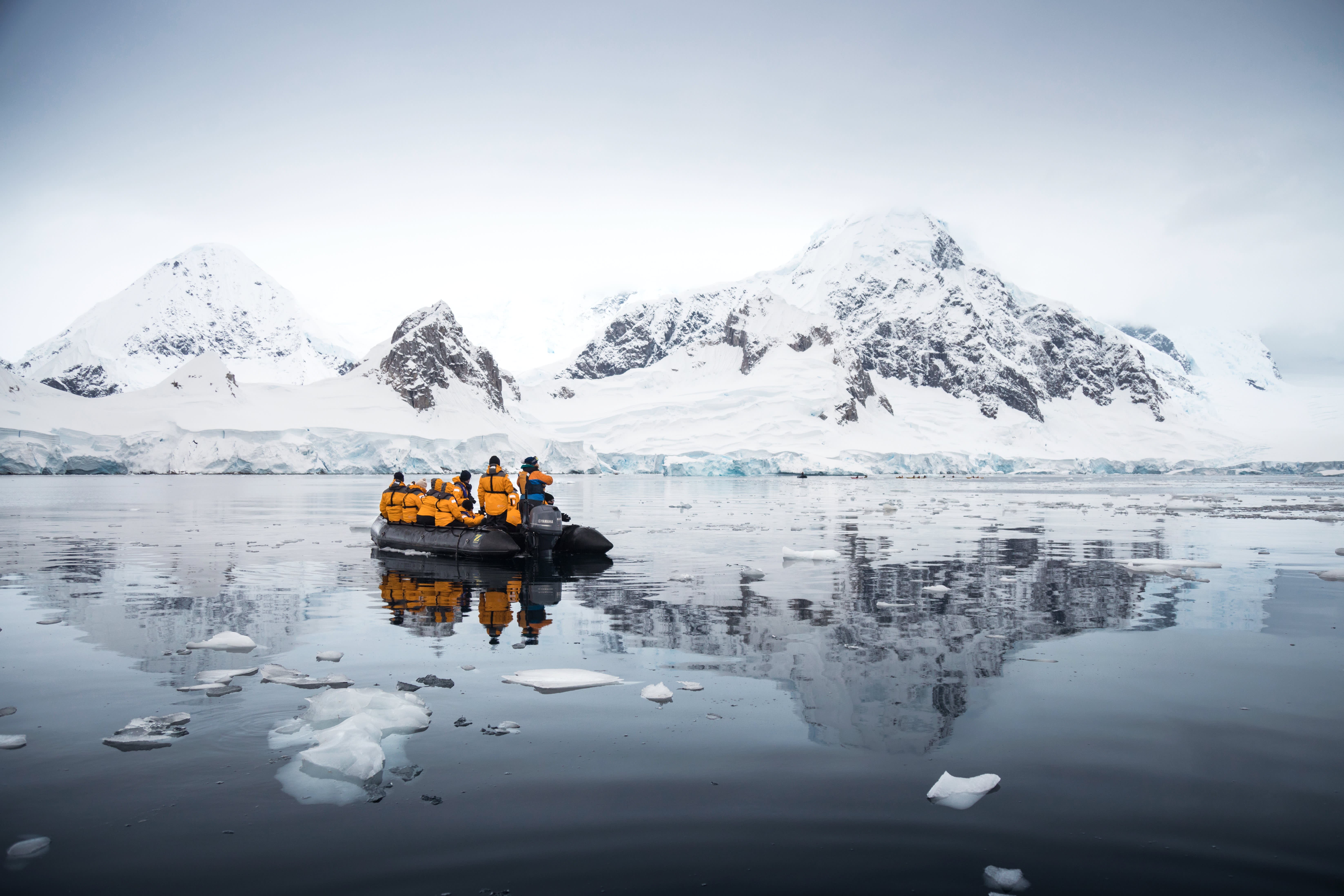 Zodiac Expedition: Zodiac Into the Antarctic Peninsula