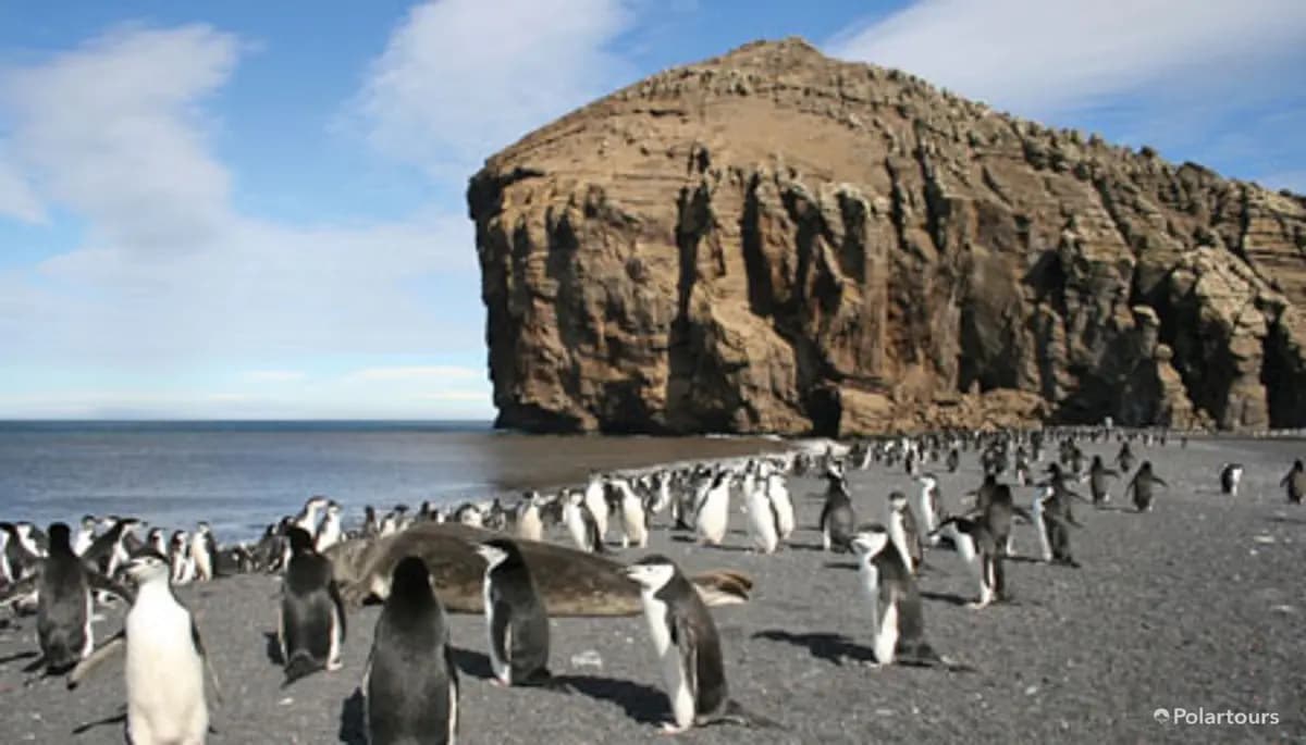 Deception Island Volcanic Caldera Hike & Hot Springs Dip