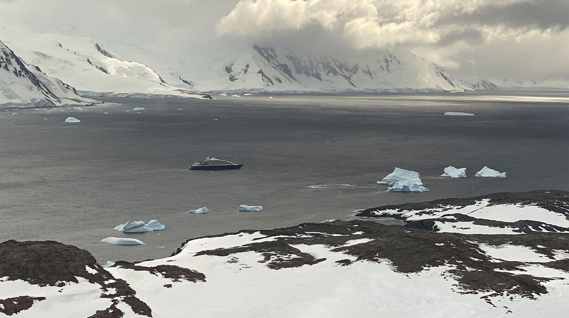 Polar Plunge: Leap into the Southern Ocean