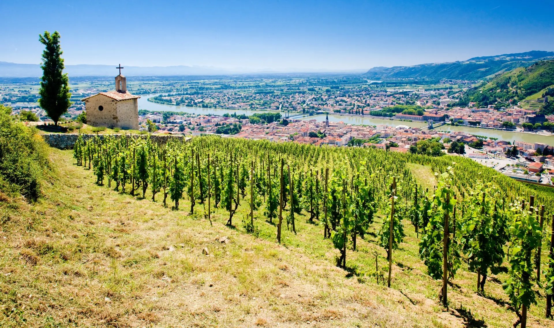 Hermitage Grand Cru Wine Tasting: Private Domaine Experience