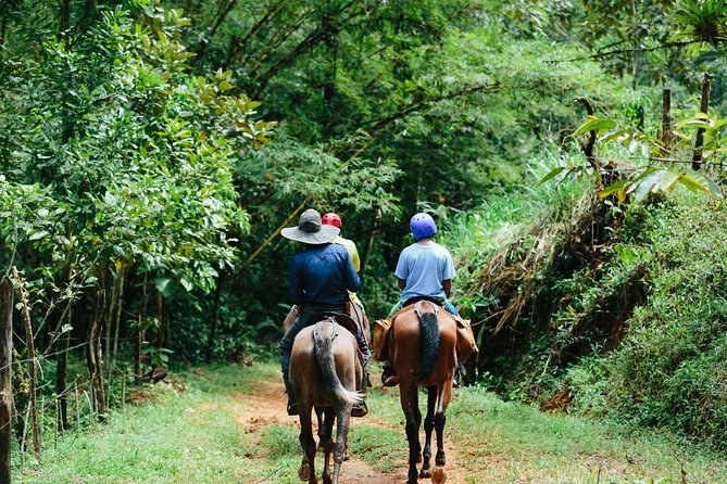 Nauyaca Waterfalls: Private Horseback Ride Through the Rainforest