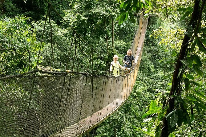 Rainmaker Conservation Park: Private Hanging Bridge & Waterfall Trek