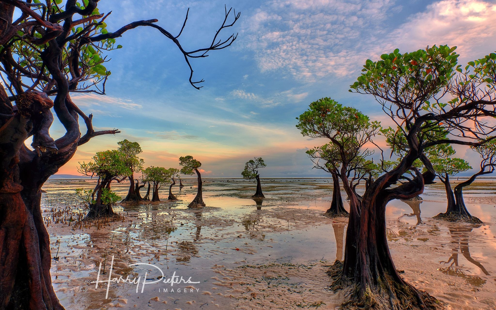 Walakiri Beach: The Dancing Mangroves of East Sumba at Low Tide