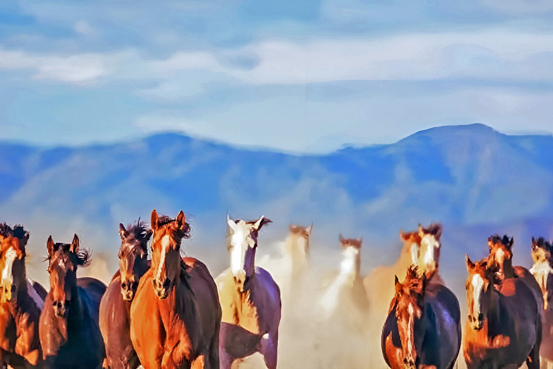 Purugamu Savanna & Wild Horses of East Sumba: A Private Safari