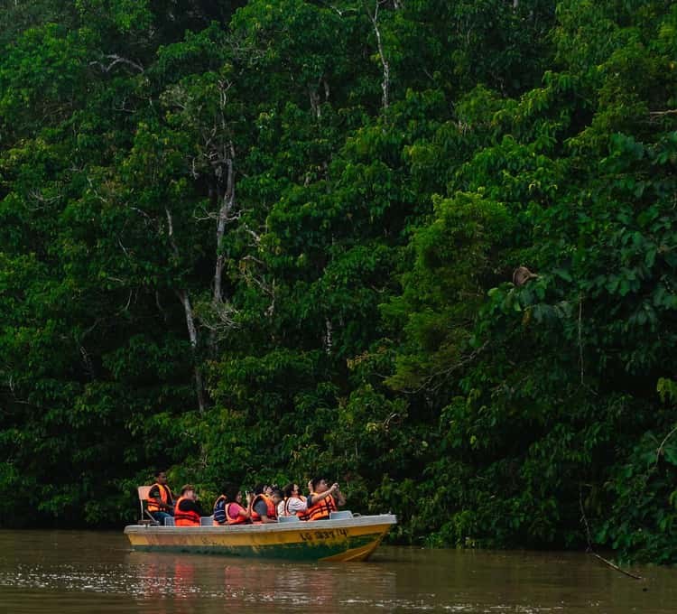 Kinabatangan River: Private Twilight Wildlife Cruise