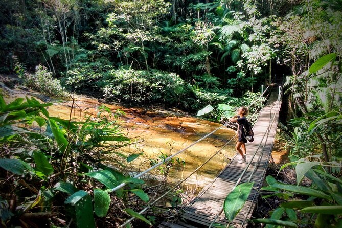 Tijuca National Forest: Private Guided Rainforest Hike
