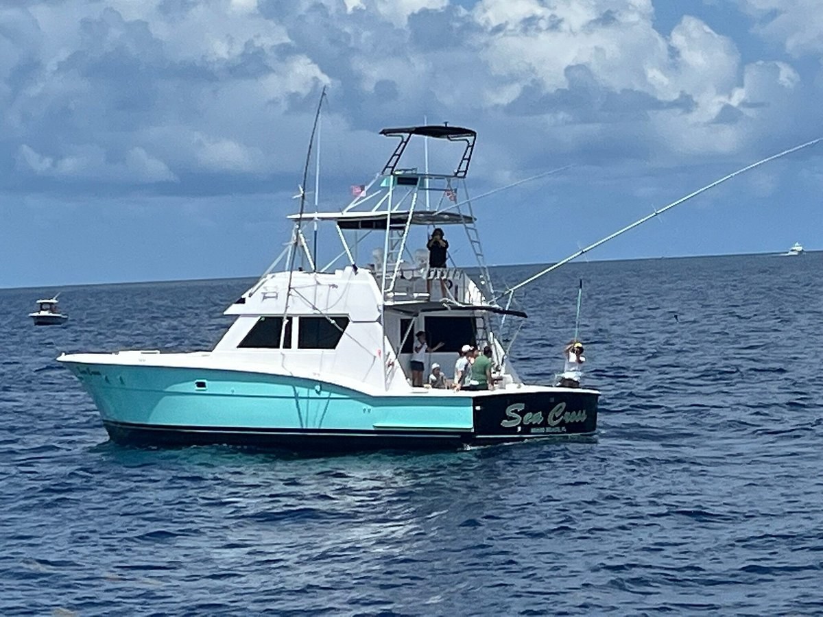 Private Sport-Fishing Charter: Deep-Sea Thrills off Miami