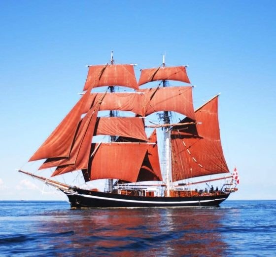 Kiel Fjord Private Sailing Charter: Wind & Wildlife on Baltic Waters