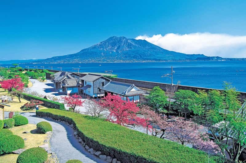 Sakurajima Active Volcano: Private Guided Half-Day