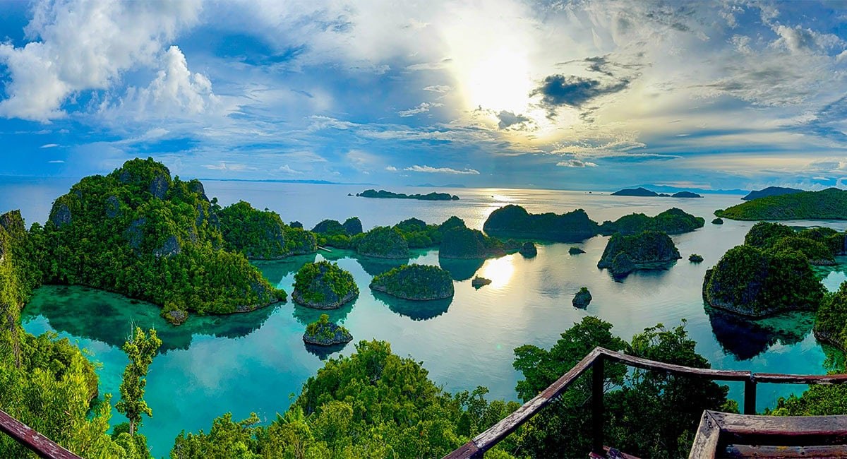 Private Snorkel Safari: Raja Ampat's Crown Jewel Reefs