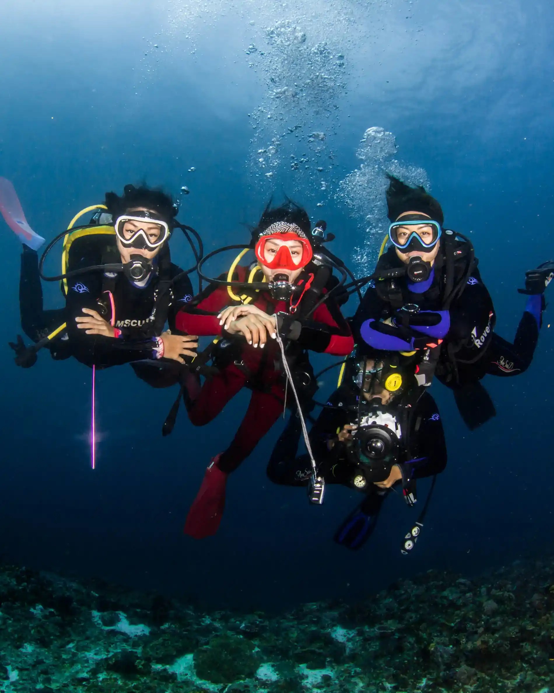 Scuba Diving Raja Ampat: Private Guided Dive, Cape Kri & Beyond