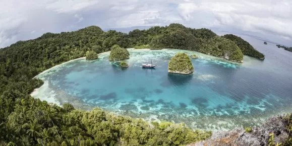 Vanikoro Rainforest Trekking: Private Guided Biodiversity Expedition