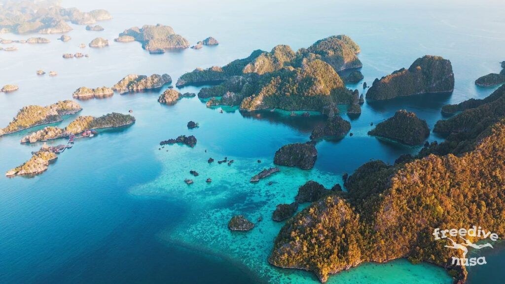 Raja Ampat Freediving Masterclass: Private Two-Tank Session