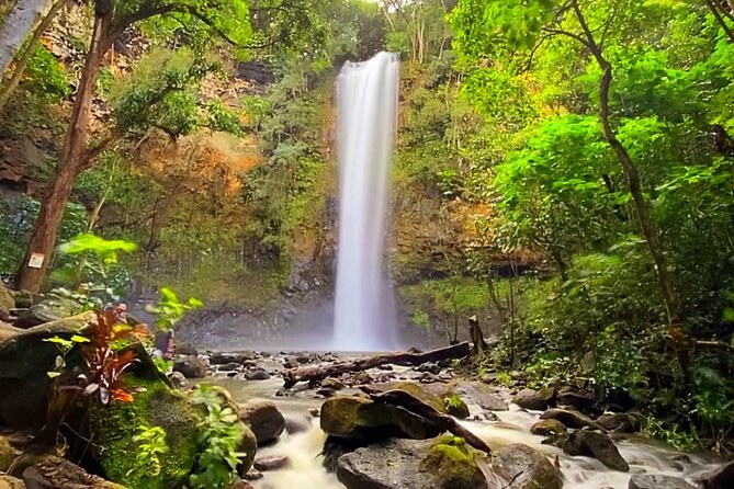 Kaboei Bay Kayak & Jungle Waterfall: Private Guided Half-Day