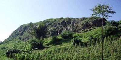 Gunung Meja Plateau: Rainforest Trek & Panoramic Manokwari Vista