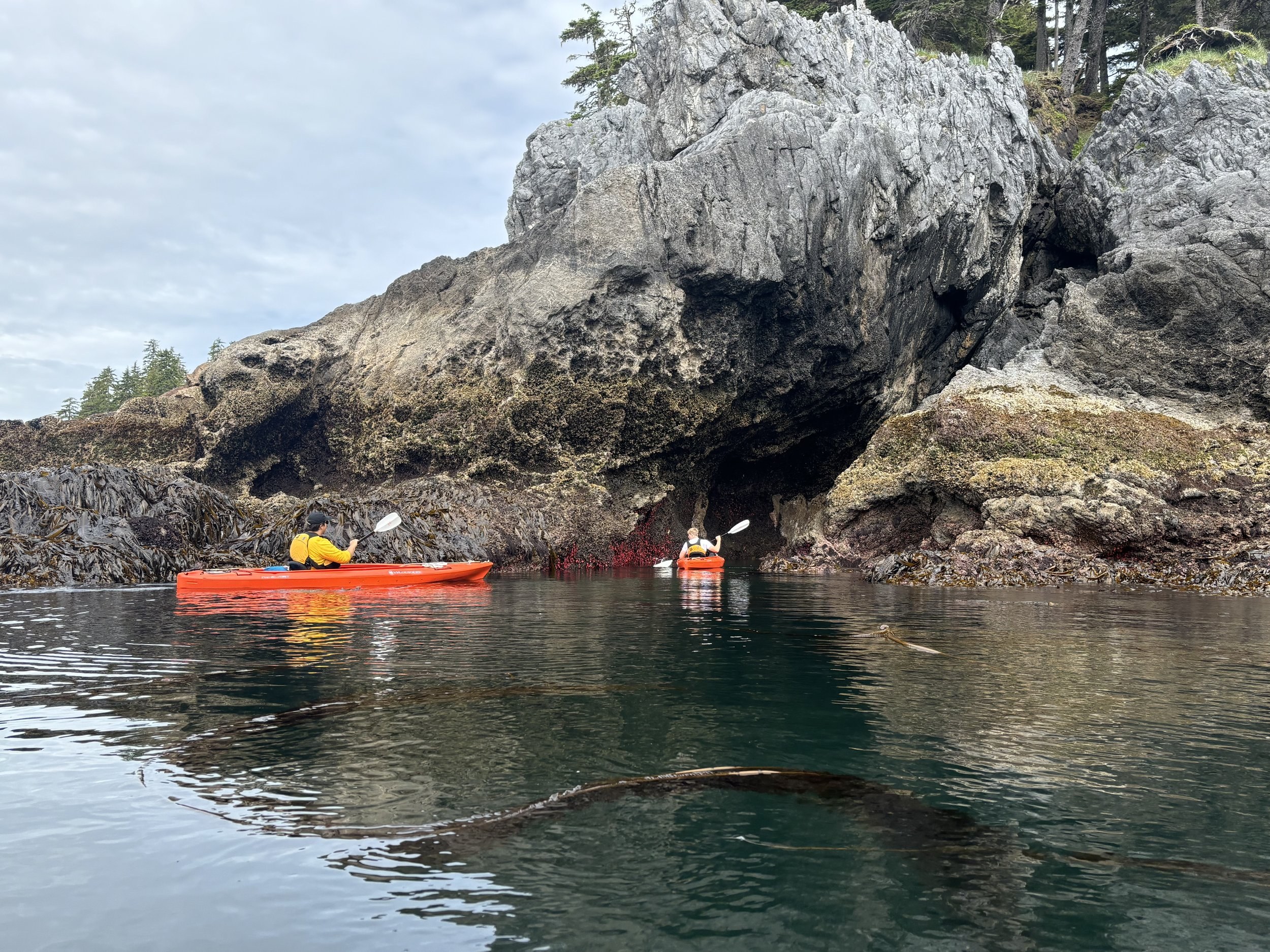 Lengguru Karst Wilderness: Kayak Through a Lost World