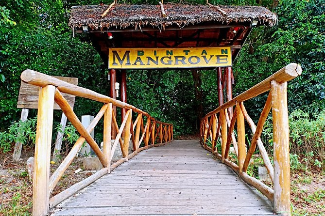 Bintuni Bay Mangrove Safari: Saltwater Crocs & Rare Birdlife