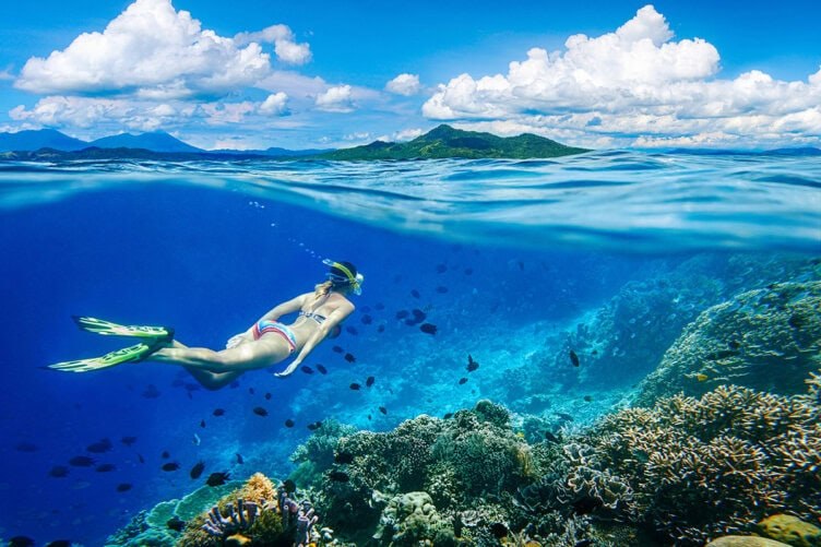 Pristine Coral Reef Snorkel — Cenderawasih Marine Park