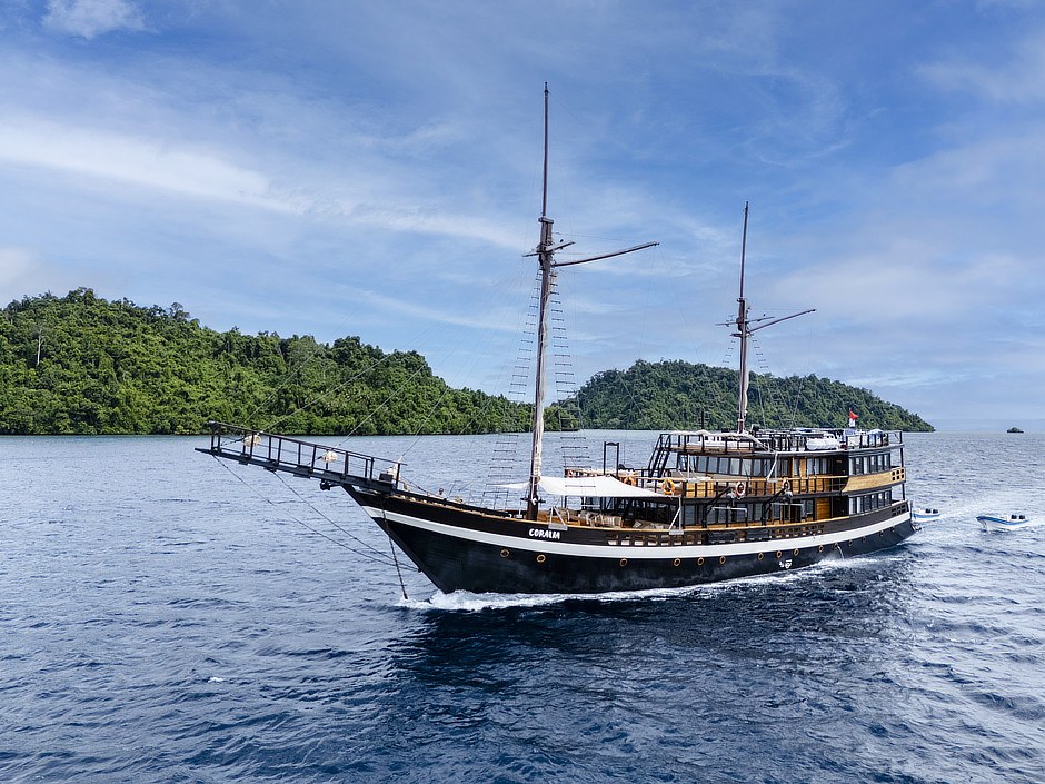 Cenderawasih Bay Pristine Reef Snorkel — Coralia Liveaboard