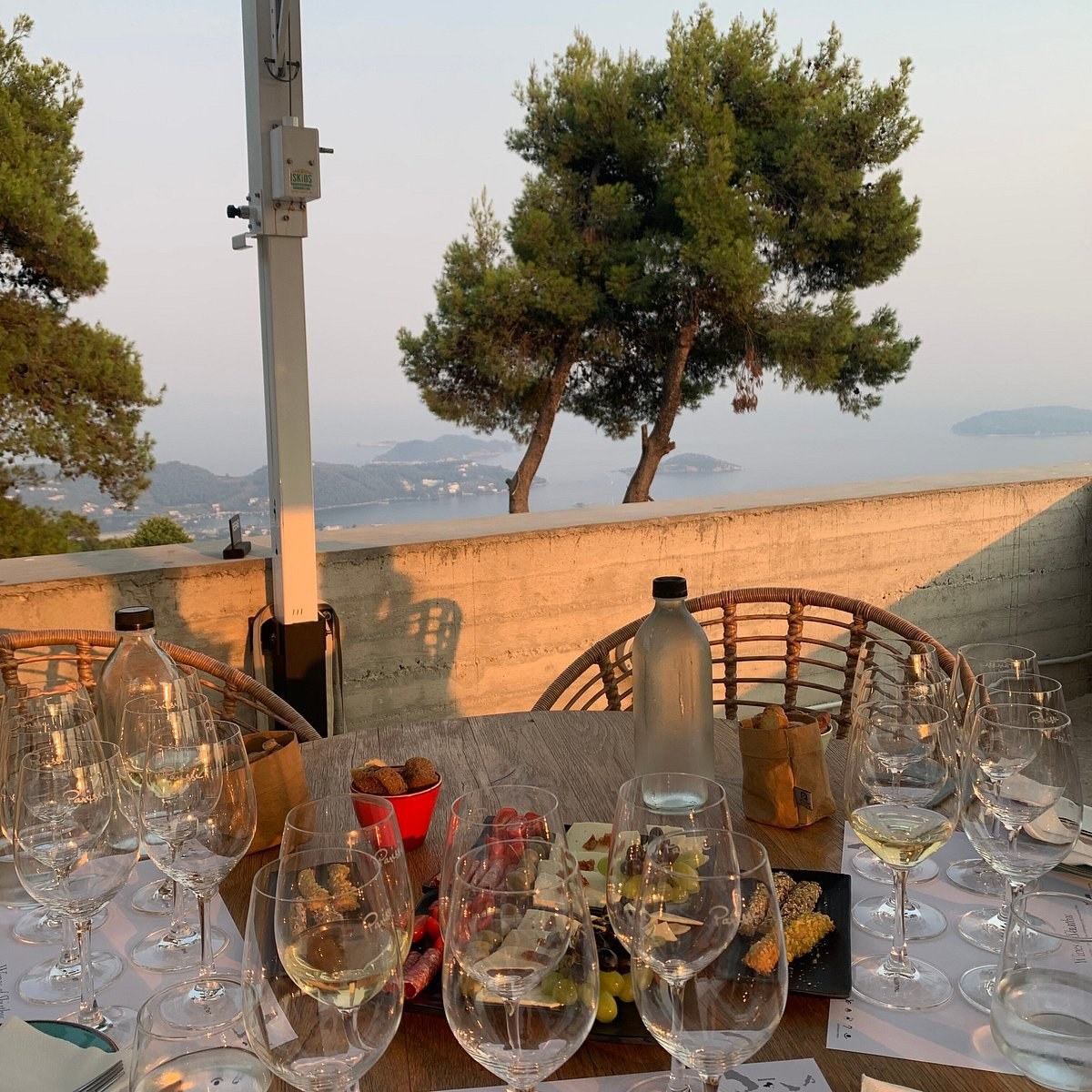 Parissis Winery: Private Tasting & Sporades Vineyard Tour
