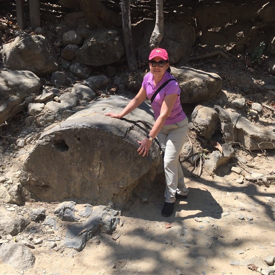 Petrified Forest of El Oro: Ancient Giants of the Andes