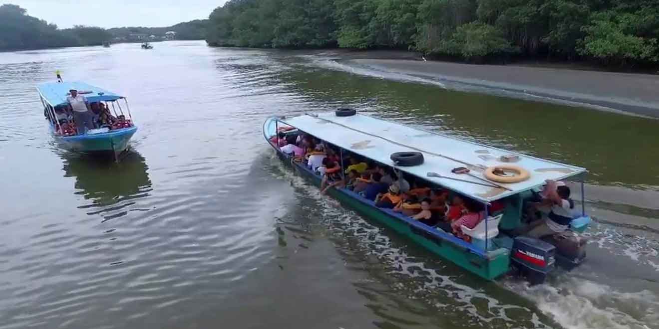 Jambelí Archipelago: Private Boat to a Mangrove Paradise