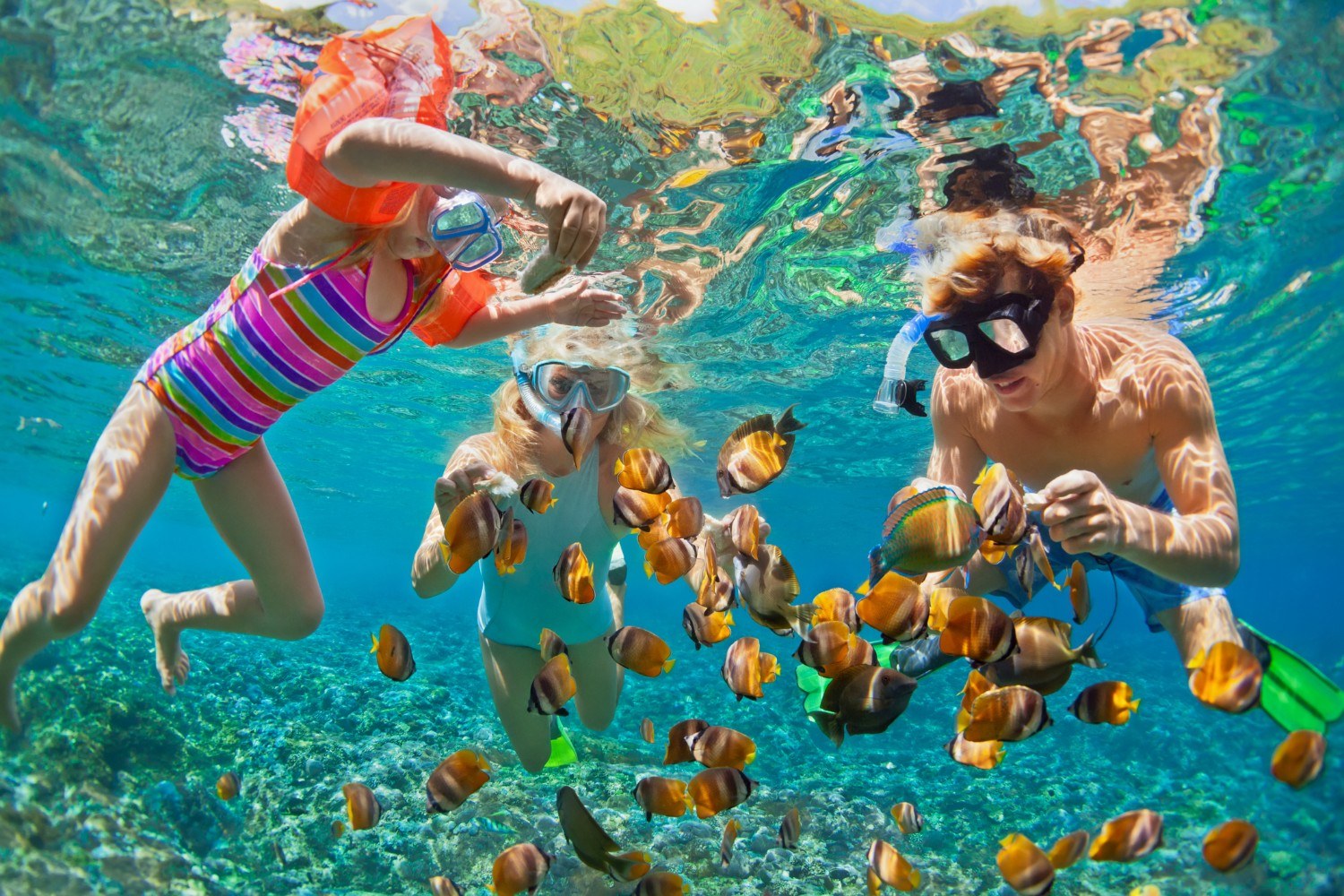 Snorkel the Only Living Coral Reef in the Continental U.S.