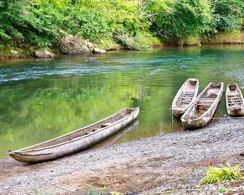 Emberá Indigenous Village: Private Cultural Immersion & River Journey