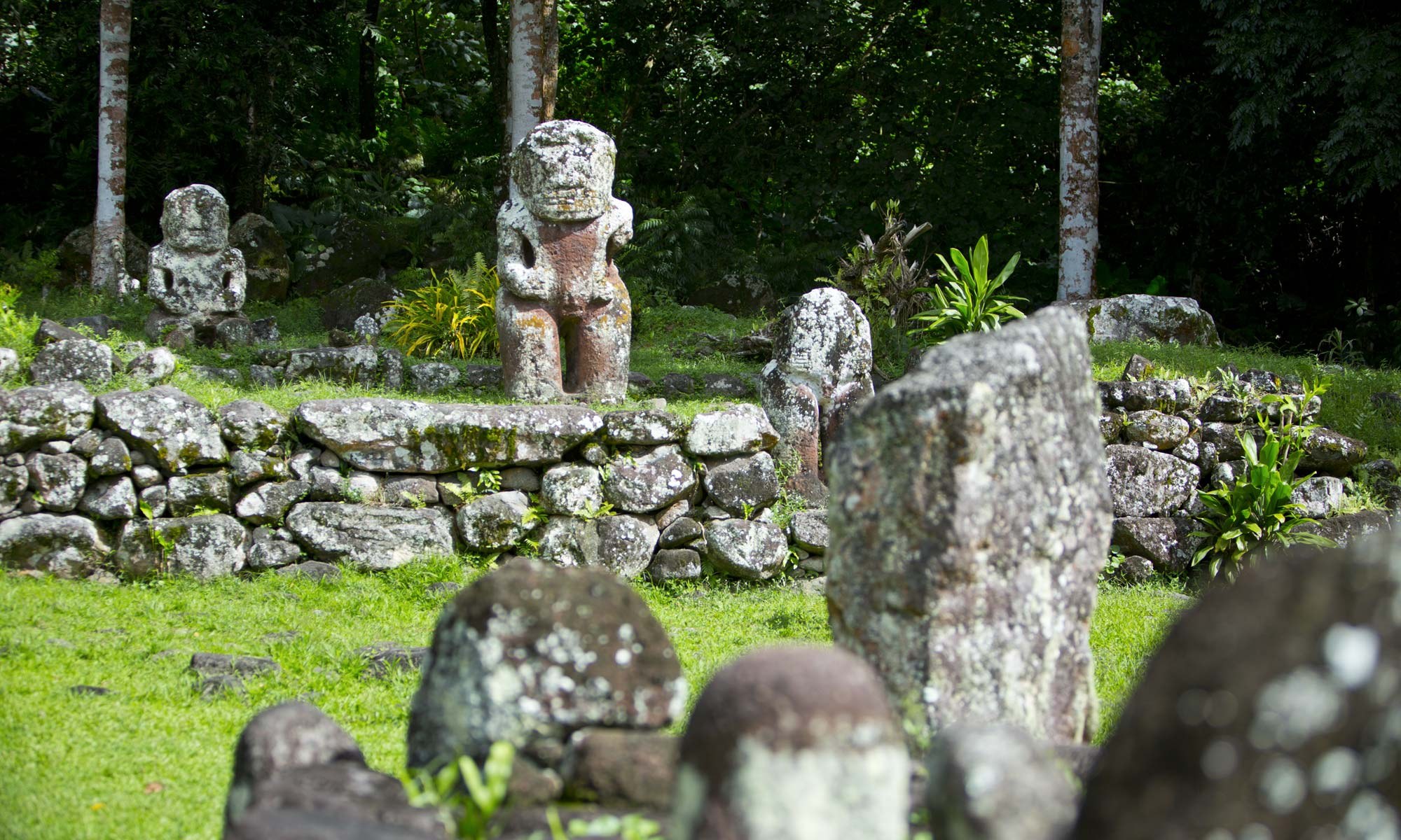 Taaoa Valley: Sacred Tikis & Ancient Tohua with Local Guide