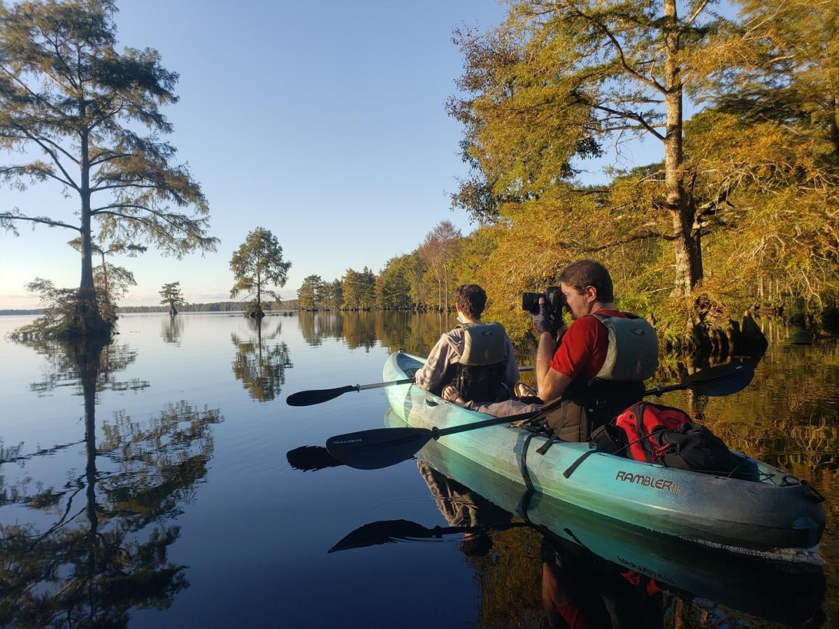 Kayak the Great Dismal Swamp: Private Guided Paddle