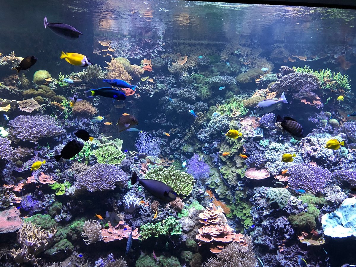 Rostock Zoo at the Baltic: One of Europe's Finest Zoological Gardens