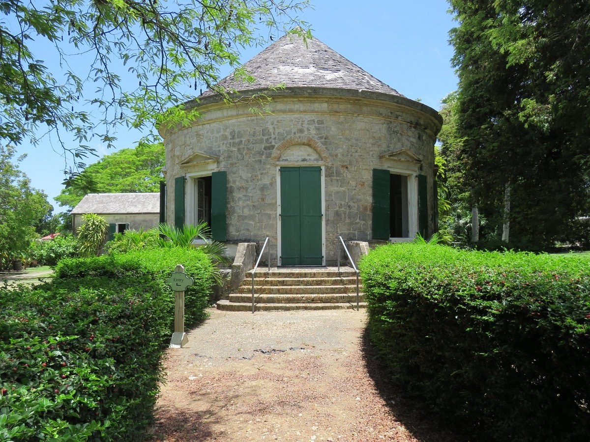 Estate Whim Plantation: Private Historian-Led Sugar Legacy Tour