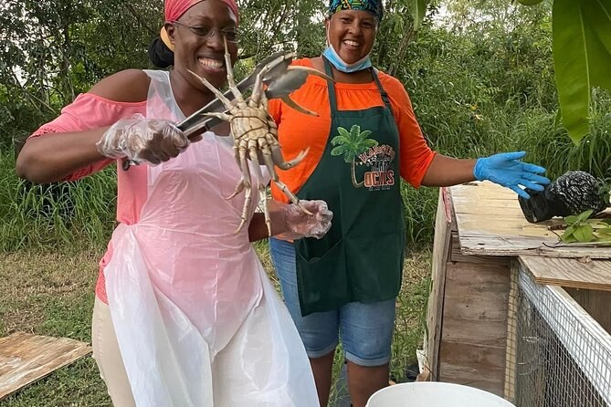 Farm-to-Table Culinary Journey: St. Croix's Local Market & Creole Feast