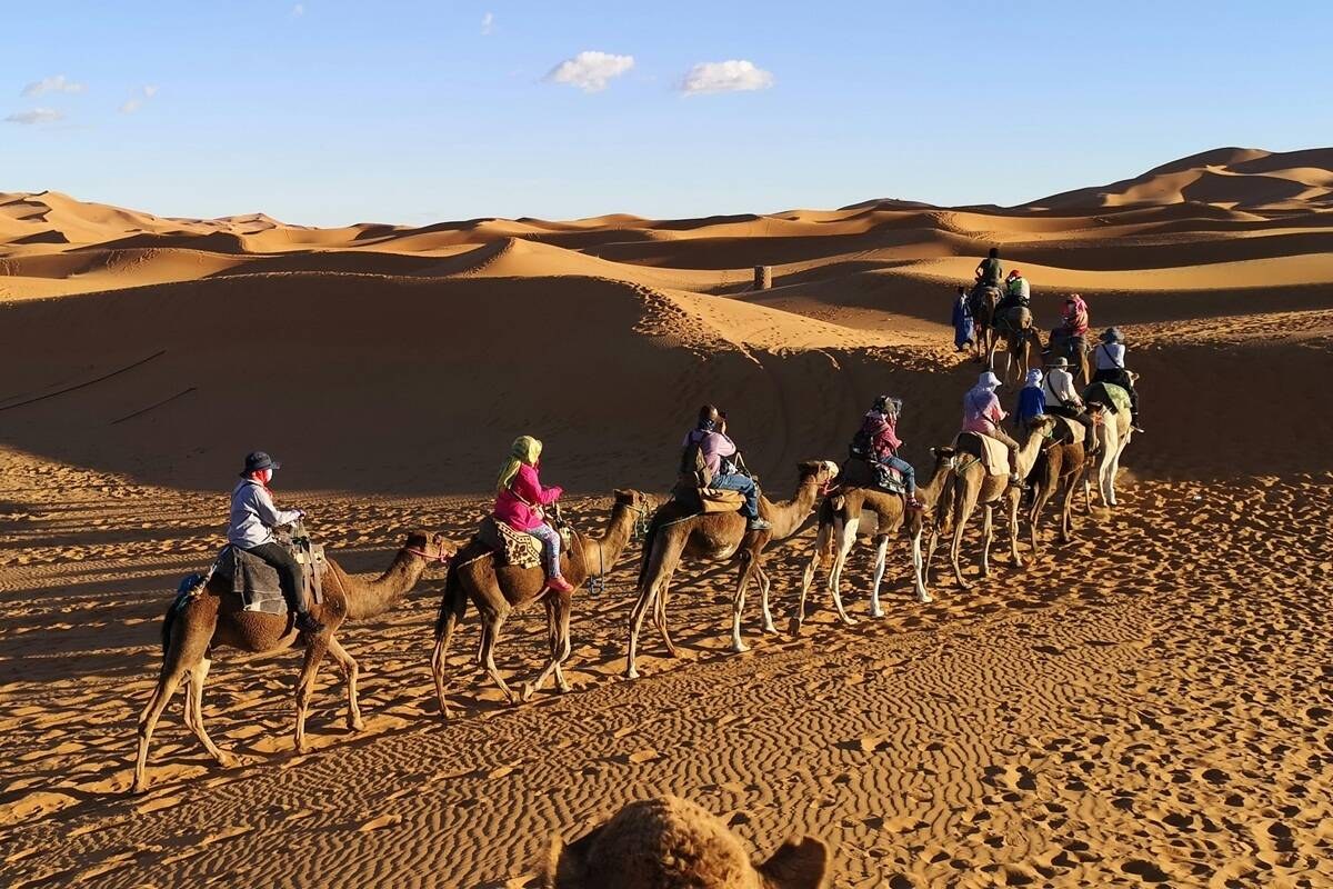 Eclipse Over the Sahara: Private Desert Camp, Morocco