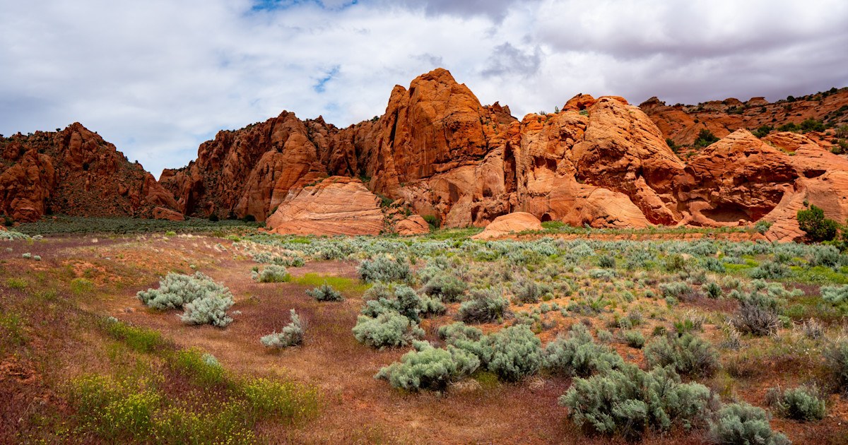 Utah's Red Rock Canyon Country: Private Scenic Drive & Hike