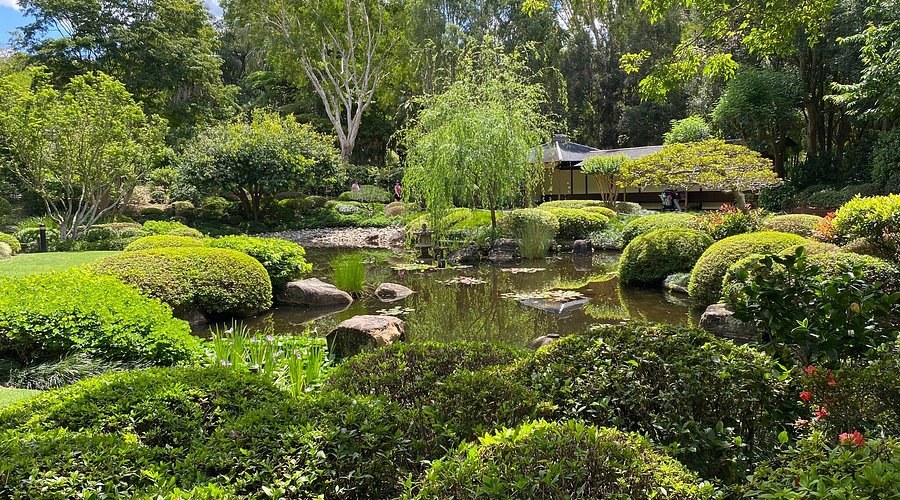 Mount Coot-tha, Botanic Gardens & XXXX Brewery Tasting Tour