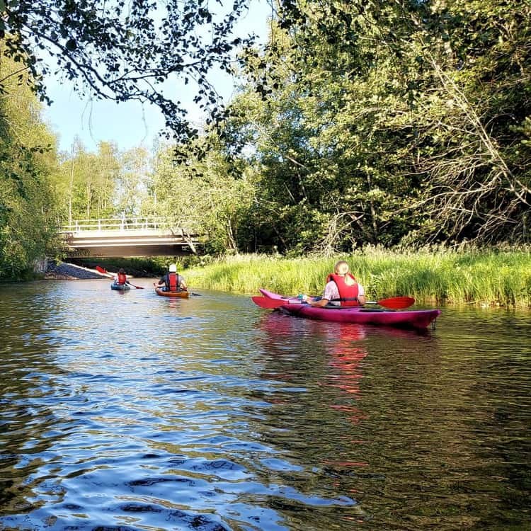 Private Arctic Archipelago Boat Safari from Oulu