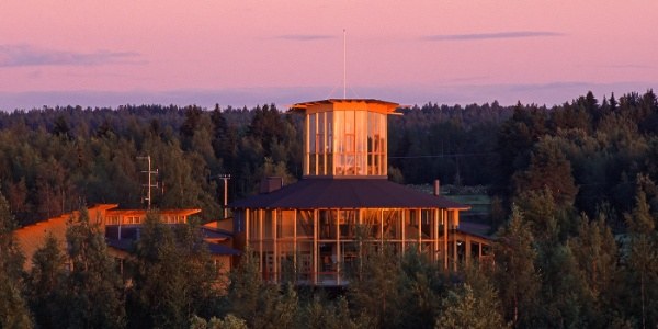 Liminganlahti Bay Private Birdwatching Safari