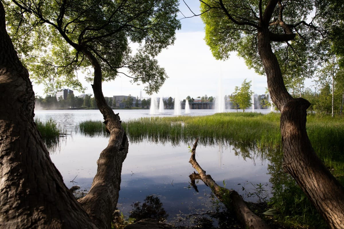 Hupisaaret Islands Park & Oulu Art Museum Private Cultural Tour