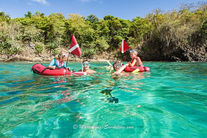 Authentic North Martinique Shore Excursion — Small Group