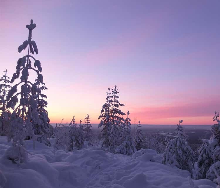 Guided Snowshoe Trek in Pristine Arctic Wilderness