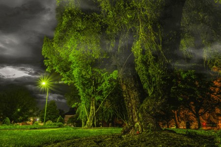 Charlottesville Lantern Ghost Tour: Where Jefferson Still Lingers