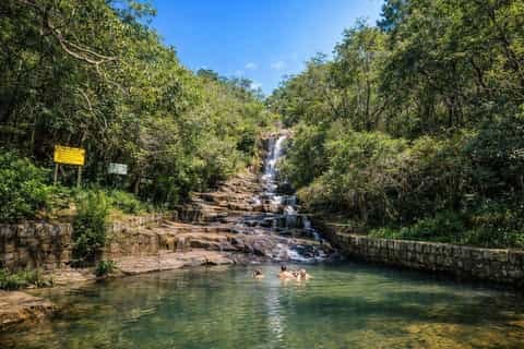 Atlantic Forest Canopy & Waterfall Trek: Private Naturalist Tour